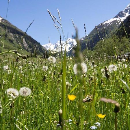 Neuhaushof Apartment Hollersbach im Pinzgau Ngoại thất bức ảnh