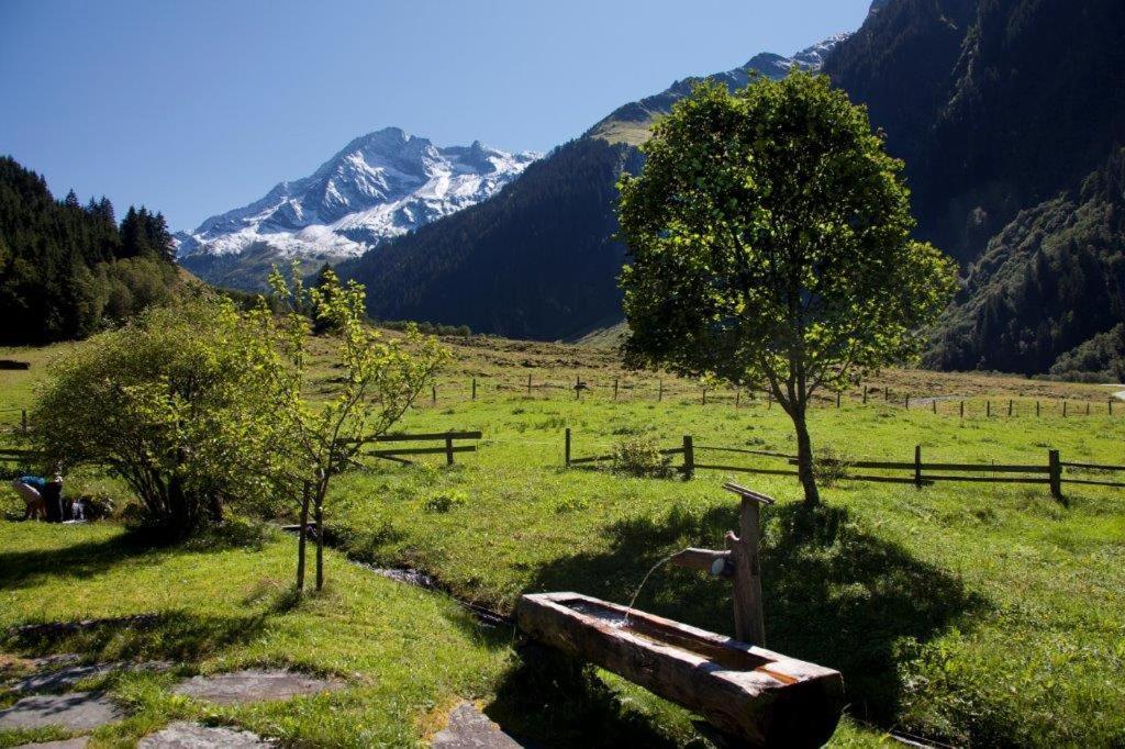 Neuhaushof Apartment Hollersbach im Pinzgau Ngoại thất bức ảnh