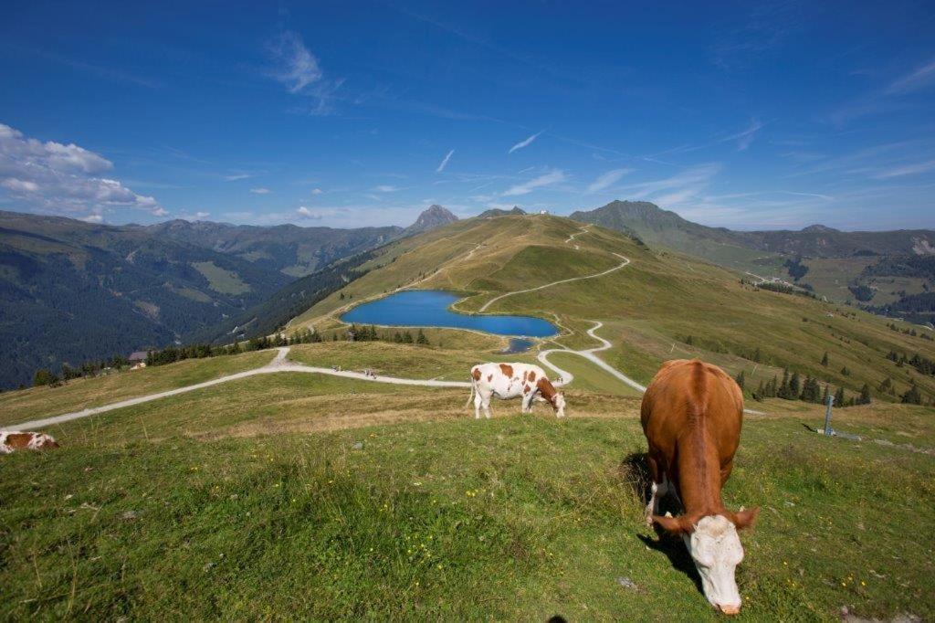 Neuhaushof Apartment Hollersbach im Pinzgau Ngoại thất bức ảnh