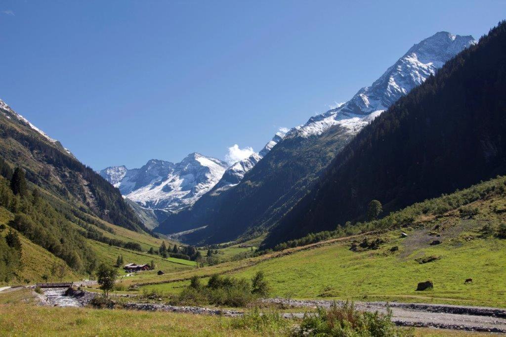 Neuhaushof Apartment Hollersbach im Pinzgau Ngoại thất bức ảnh